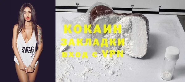 бошки Белокуриха