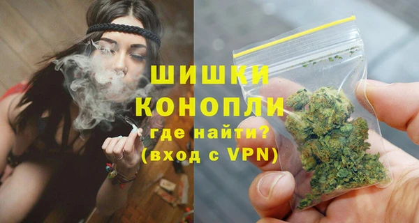 бошки Белокуриха