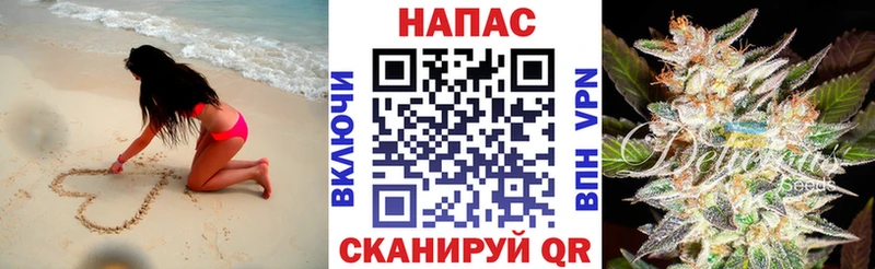 Конопля SATIVA & INDICA  Сердобск 